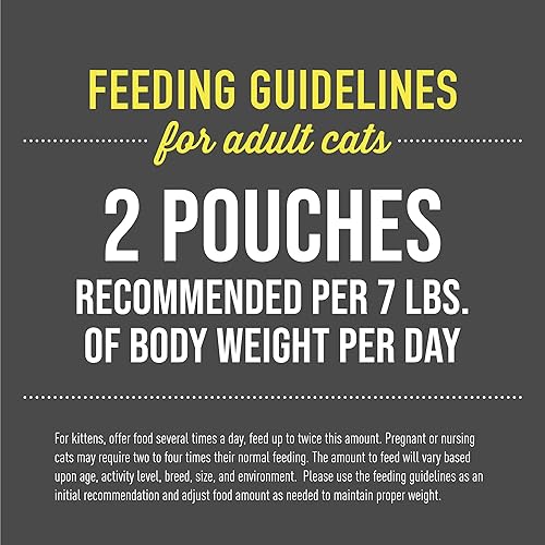 Miniatura 7 de Tiki Cat After Dark, mousse de terciopelo, paquete variado, fórmula sin granos y patatas, con alta proteína y carne de órgano irresistible mezclada