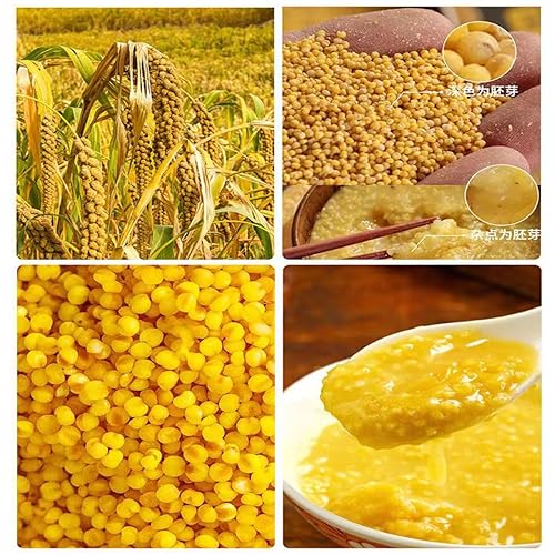 Miniatura 6 de Mijo 17.63 oz sin gluten descascarado a granel de mijo seco al sol de grano entero