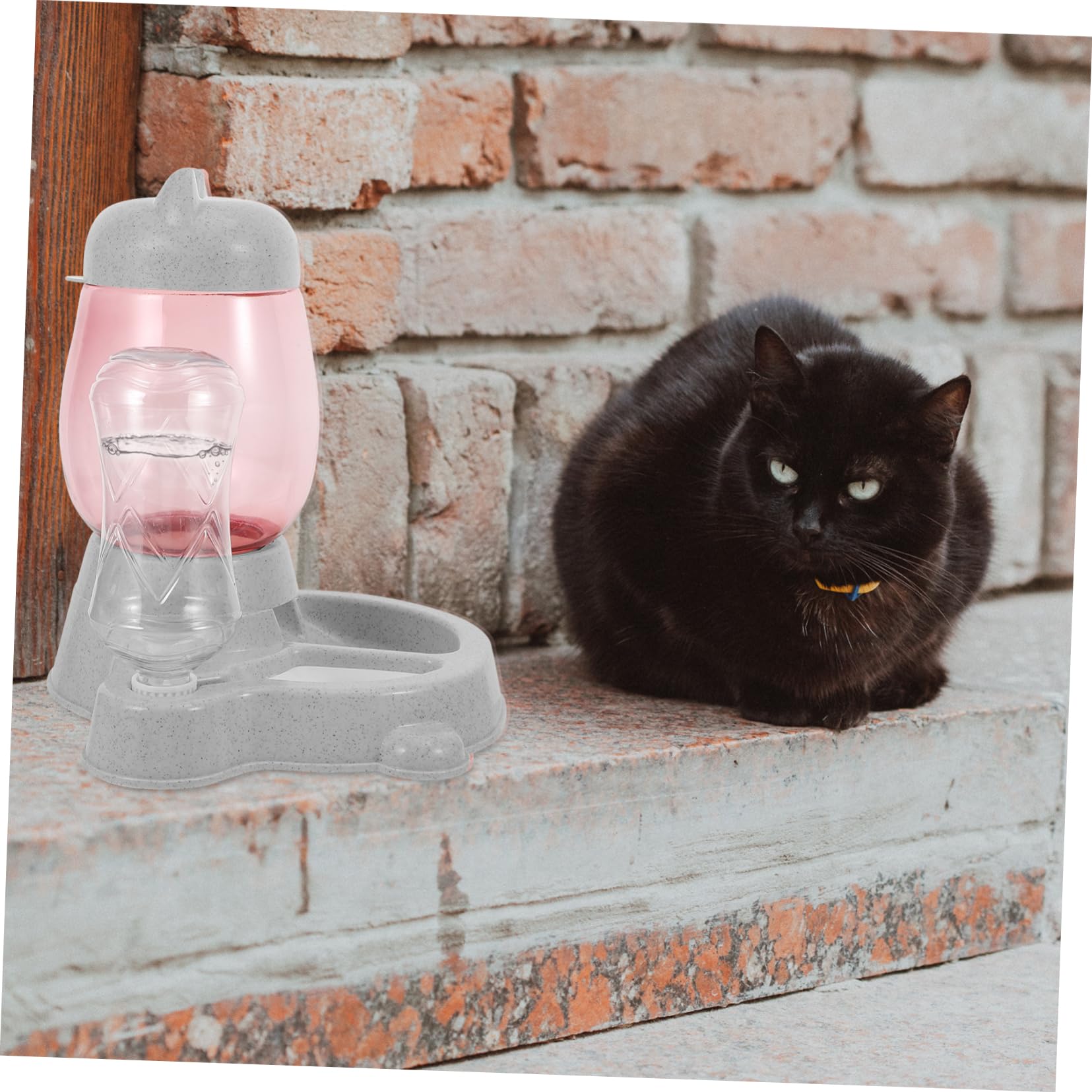 Distributore Automatico per Cani e Cuccioli, Plastica 1 Pezzo