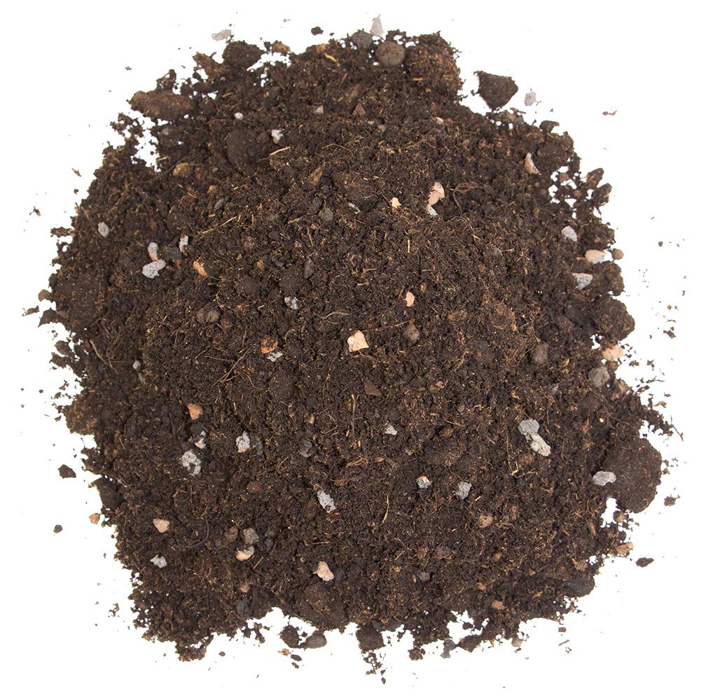 Floragard Zitrus- und Mediterranpflanzenerde in der Box, b, 60 Liter & Blähton Tongranulat zur Drainage - Hydrokultursubstrat - für Pflanzkästen, Kübel oder Töpfe - 50 L