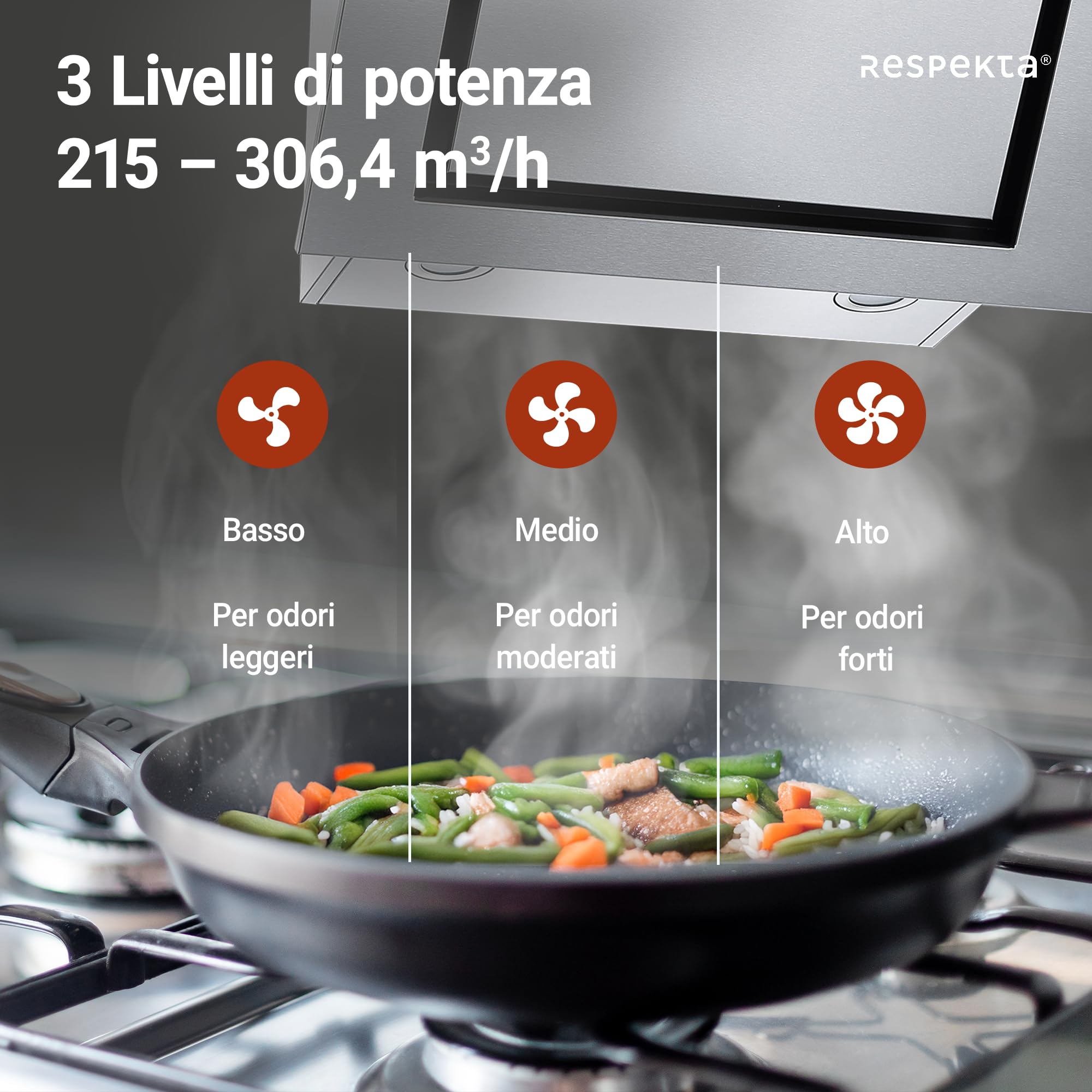 Respekta Cappa aspirante senza ingombro/cappa inclinata 60 cm/struttura in acciaio inox/funzione di espulsione e ricircolo dell'aria / CH22020IXB / B / 58 – 63 dB