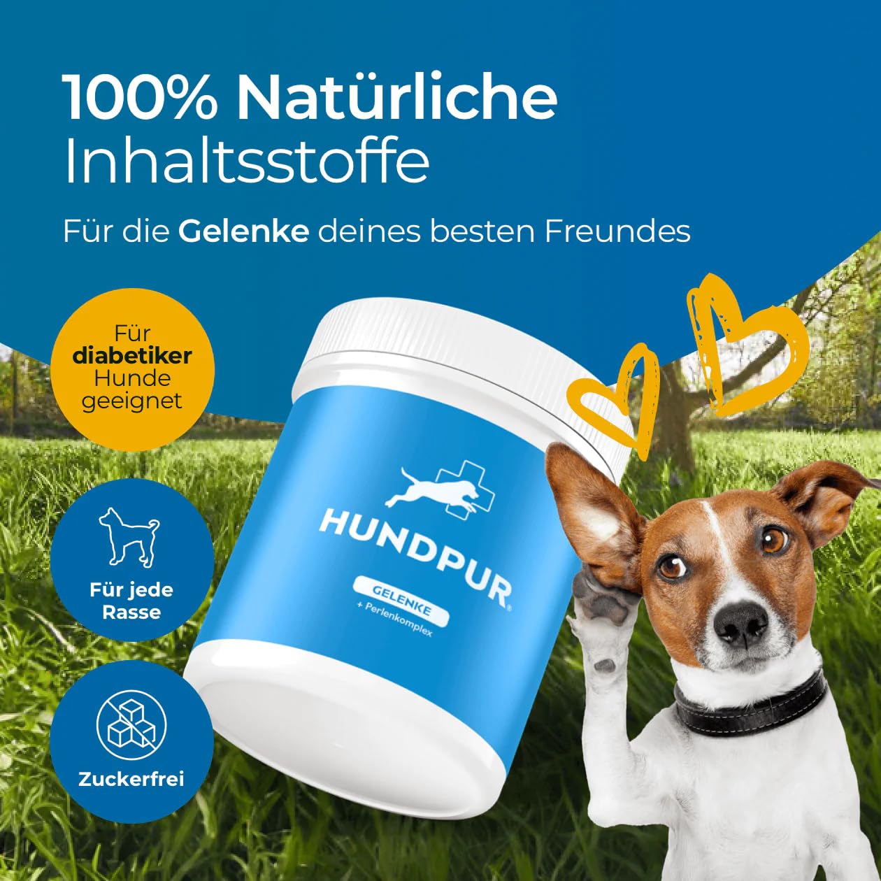 Gelenke 300g - Zusatzfutter - Pellets für Hunde zur Unterstützung der Gelenke mit wertvollen Gelenkbausteinen - Mit Grünlippmuschel, Glucosamin & MSM
