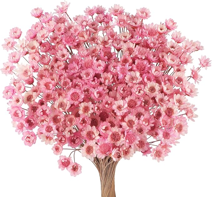 120 Fiori Secchi Gypsophila Bianco Rosa - Per Resina, Candele, Decorazioni Fai Da Te