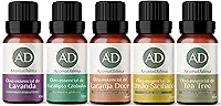 Kit Óleo Essêncial Completo Para Aromaterapia | Os 5 Aromas Mais Populares 100% Puros - Lavanda, Eucalipto, Limão Siciliano, Laranja Doce e Tea Tree (Melaleuca) - Aroma D’alma