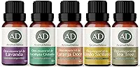 Kit Óleo Essêncial Completo Para Aromaterapia | Os 5 Aromas Mais Populares 100% Puros - Lavanda, Eucalipto, Limão Siciliano, Laranja Doce e Tea Tree (Melaleuca) - Aroma D’alma