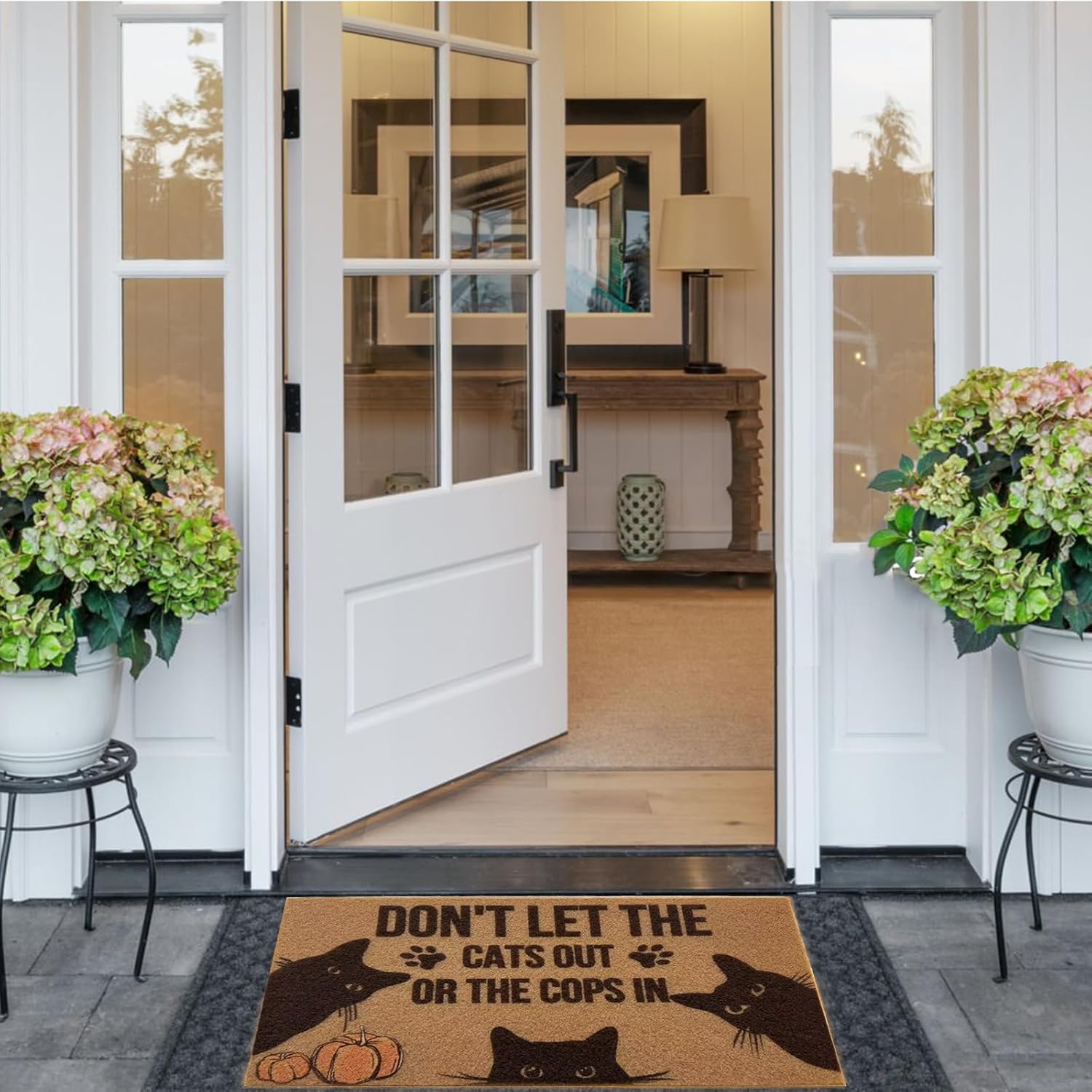 Funny Welcome Mat for Front Door Outdoor Let the Cats out, Weather Resistant Faux Coir Doormat Outside Entrance, Non-Slip Heavy Duty Welcome Mats for Hardwood & Tile, Single-Sided Humorous Door Mat