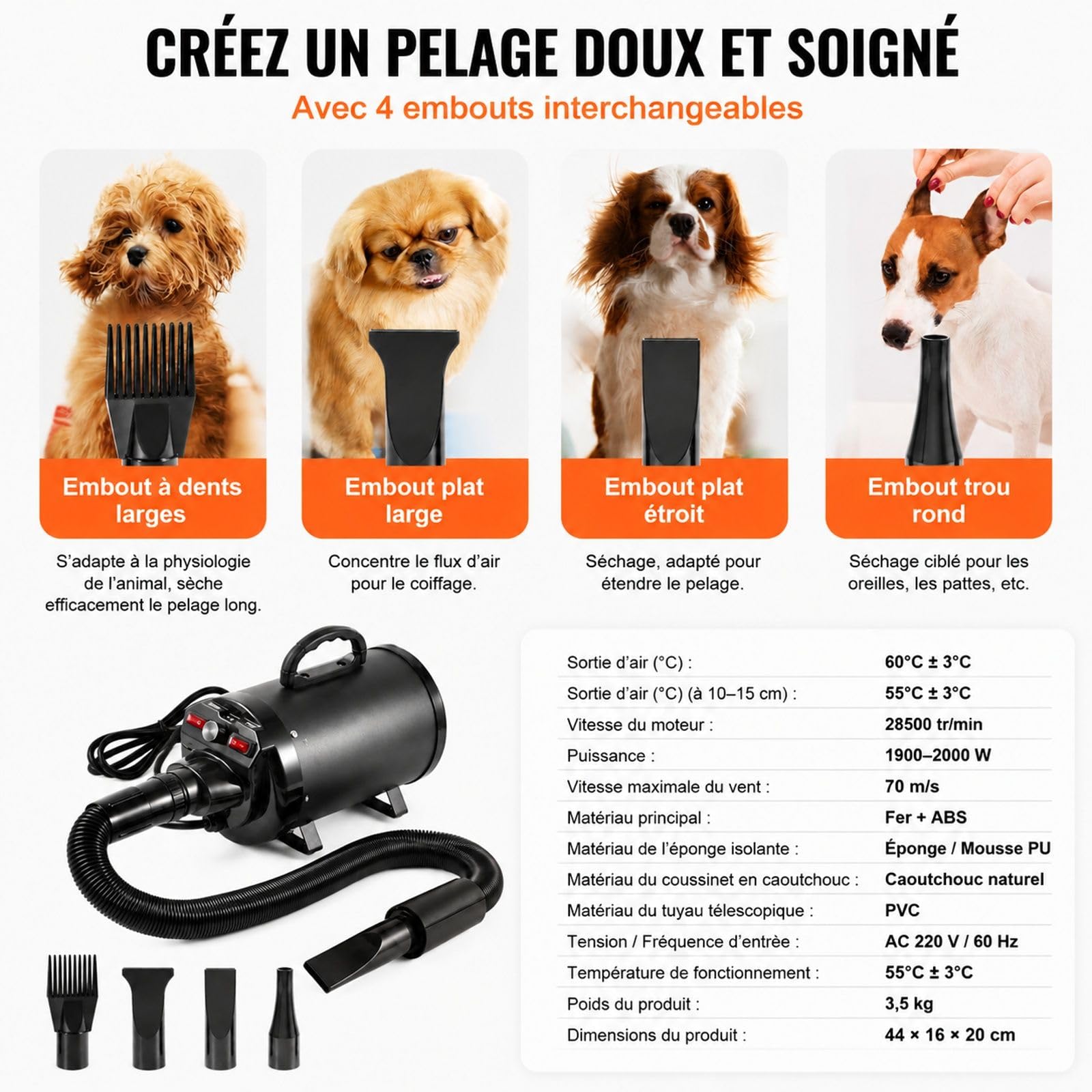 Souffleur séchoir pour chien 2000 W, vitesse d'air 70 m/s réglable, température ajustable, 4 buses, tuyau extensible, toilettage des animaux, noir, fer et ABS