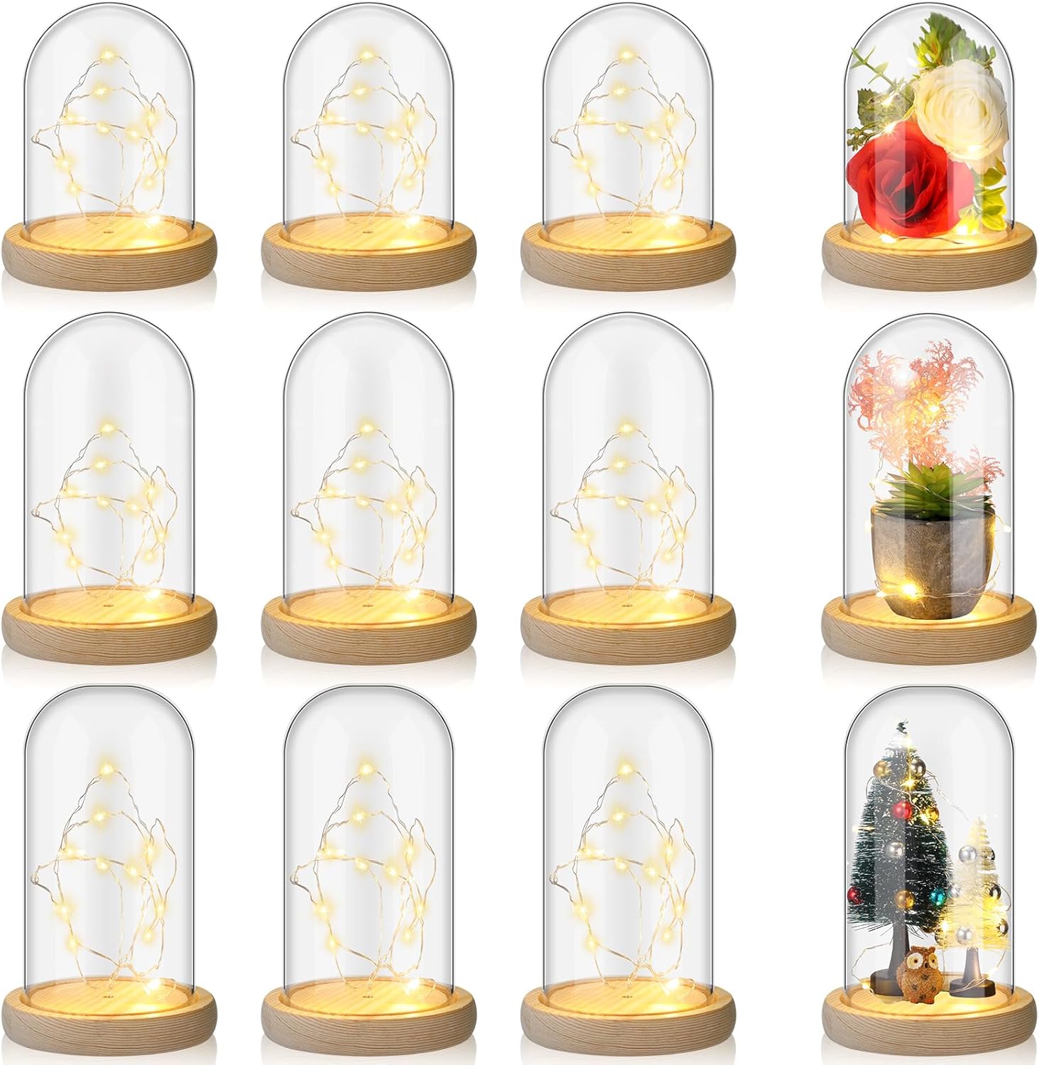 Set of 12 Plastic Cloche Dome with Rustic Wood Base and LED