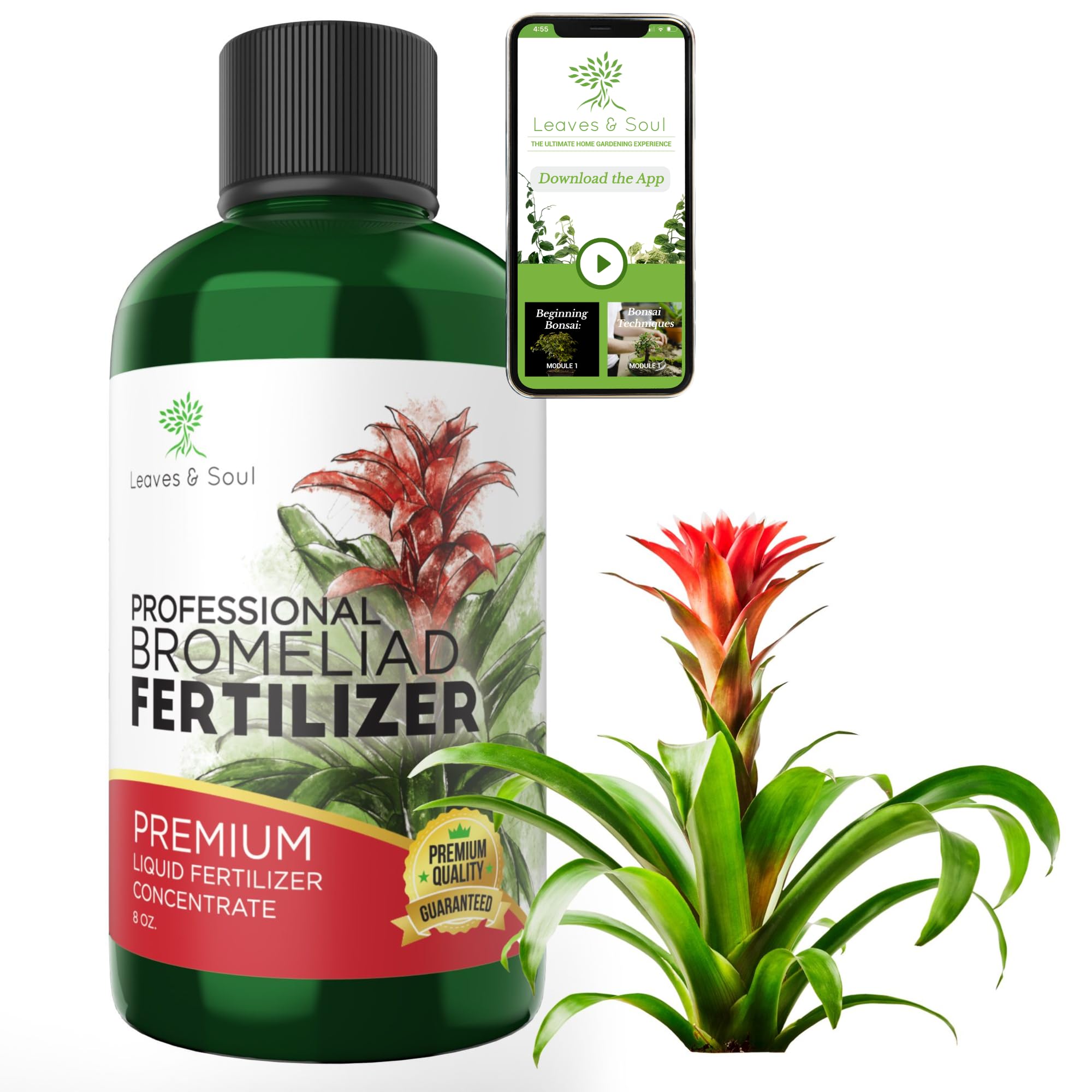Professional Liquid Bromeliad Plant Fertilizer | 3-1-2 Concentrate for Plants and Flowers | Multi-Purpose Blend & Gardening Supplies | 8 oz Bottle