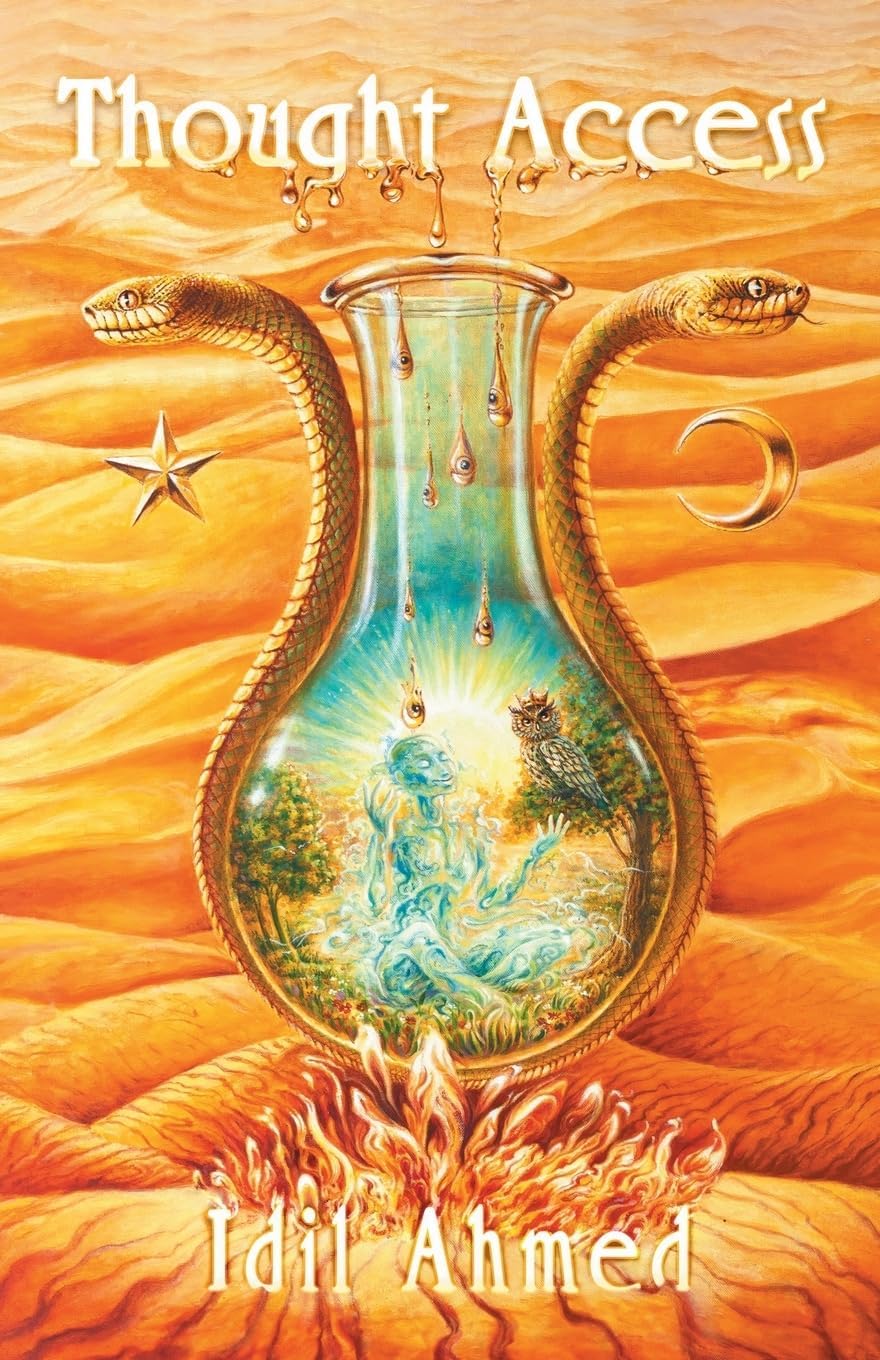 Idil Ahmed Thought Access