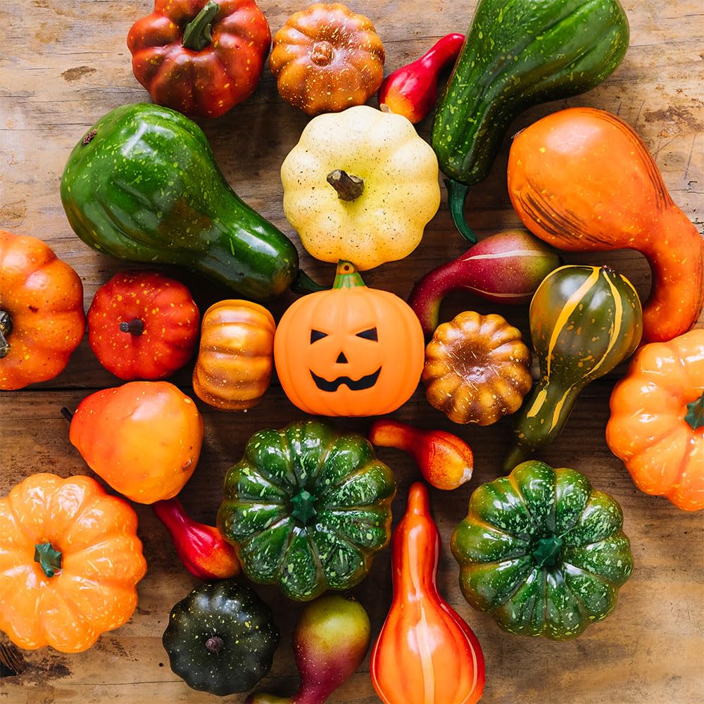 Ornamental Squash Seeds ‘Zucchetta Small Fruited Mix’ – Decorative Mini Gourds & Pumpkins – Colourful Autumn & Halloween Displays – Easy to Grow Annual Variety
