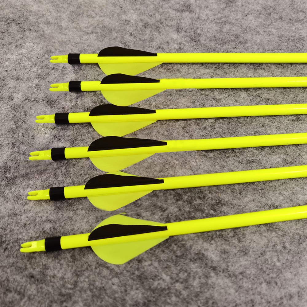 SHARROW 12pcs Freccia in Carbonio 30 Pollici Frecce da Caccia Spine 500 Tiro con L'Arco Freccia de Carbonio con Punte di Freccia da 100 Grani per Arco Ricurvo Compound