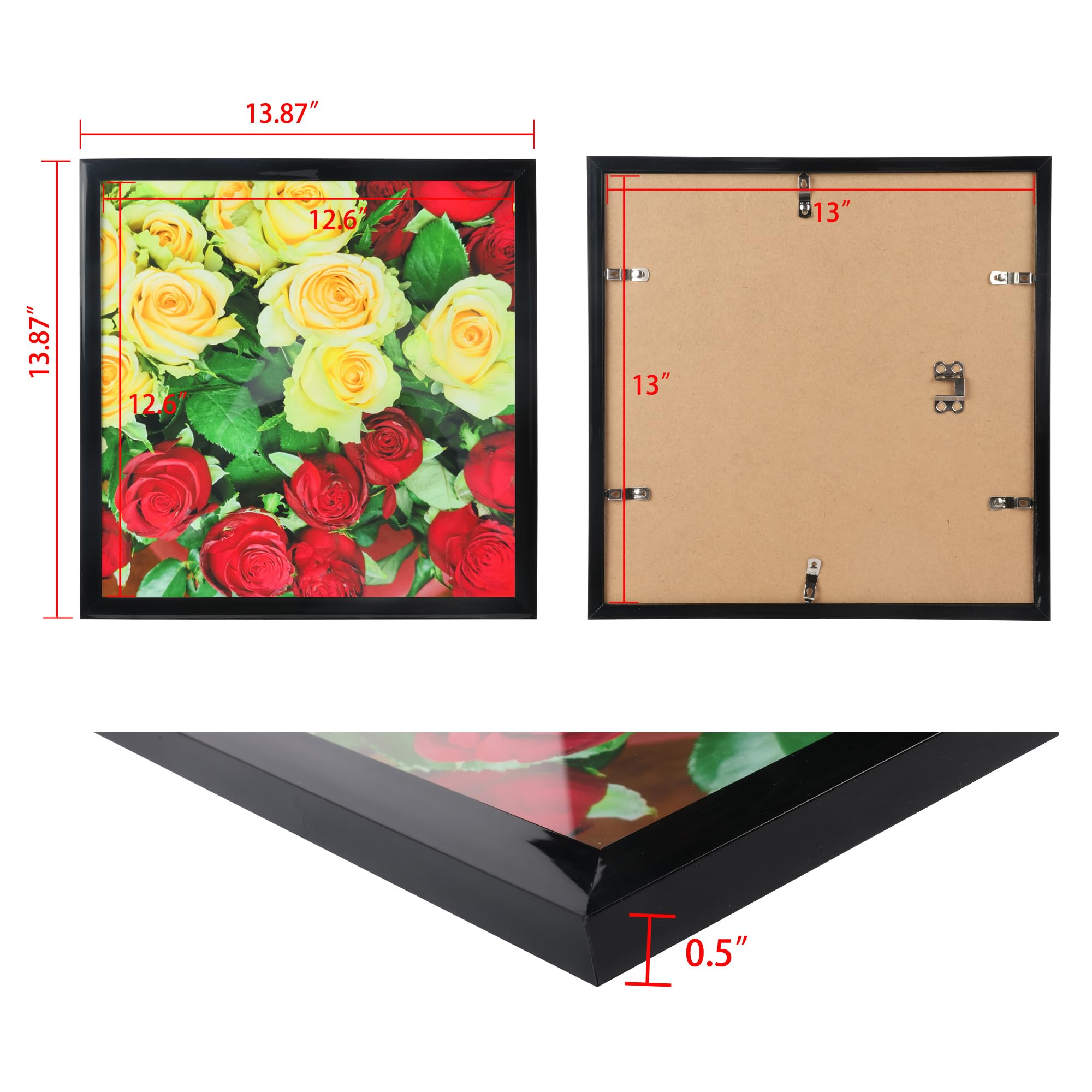 Amazon.com - Medog 13x13 Picture Frame for Wall, Display Pictures