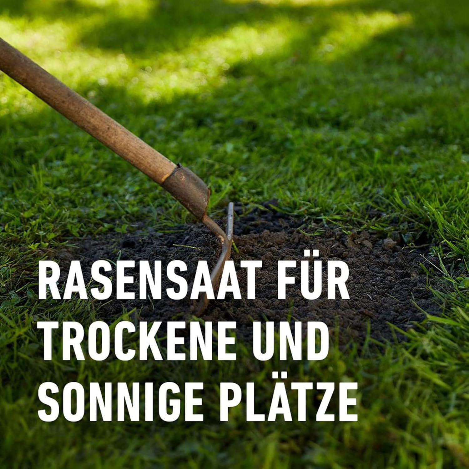 COMPO SAAT Trocken-Rasen, Hitze- und trockenverträgliche Rasensamen/Grassamen für trockene und sonnige Standorte, 2 kg, 80 m²