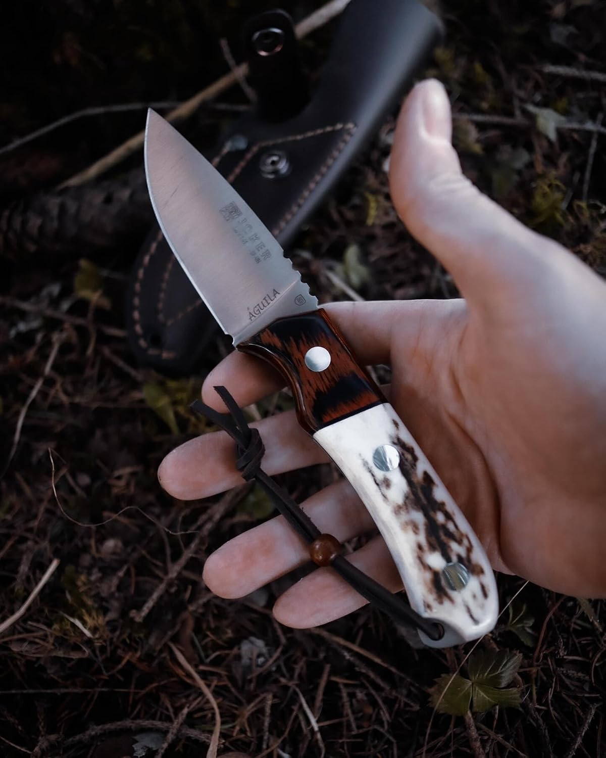 Joker Hunting knife Aguila CC103, blade 3.34 inches MOVA, deer horn handle, red wood ferrule, with brown leather Sheath, Tool for fishing, Hunting, camping and hiking