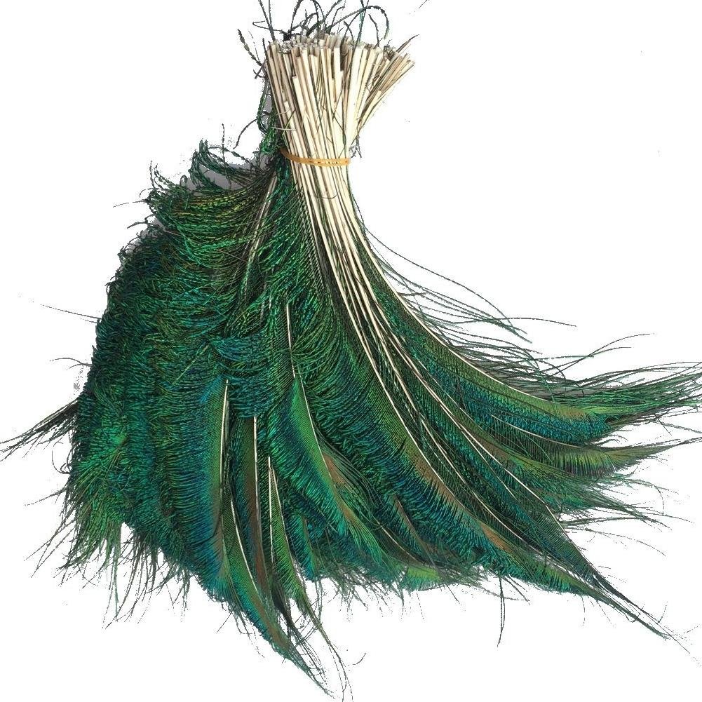 KOLIGHT Natural Peacock Sword Feathers 25-35cm for DIY Home Wedding Party Office Decoration (200pcs)