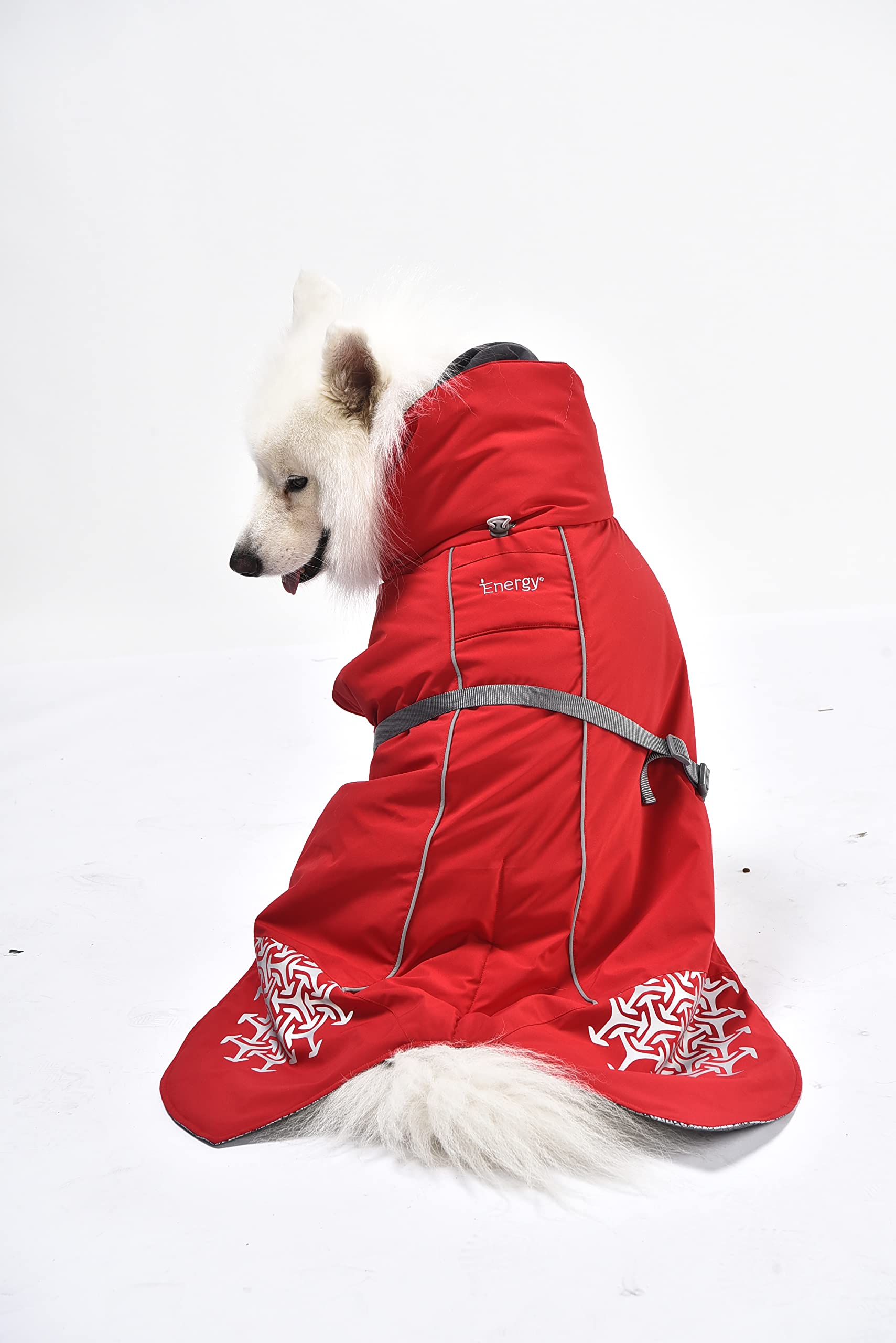 iEnergy™ JUD Hundemantel Hunde Winterjacke windabweisender, ultraleichter und reflektierender Hundemantel für trockene, sichere Gassigänge, Wandern (Rot, Extra Klein)