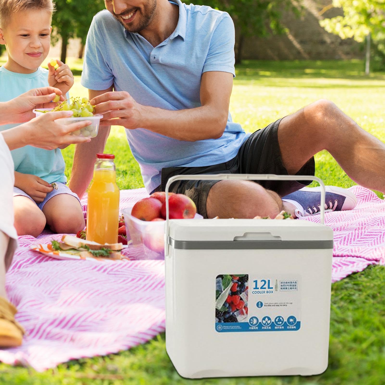 Insulated Cooler Box, organizer samochodowy 12 l, pojemnik na gorące zimno, pojemnik do przechowywania lodu, 12,4 x 9,06 x 10,04 cala), idealny na piknik, ryby i przekąski