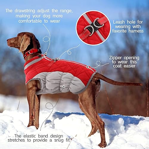 Miniatura 4 de FUAMEY - Abrigo para perro, chaqueta cálida de invierno, acolchada, de vellón, chaleco reflectante con arnés, chaqueta de nieve impermeable con