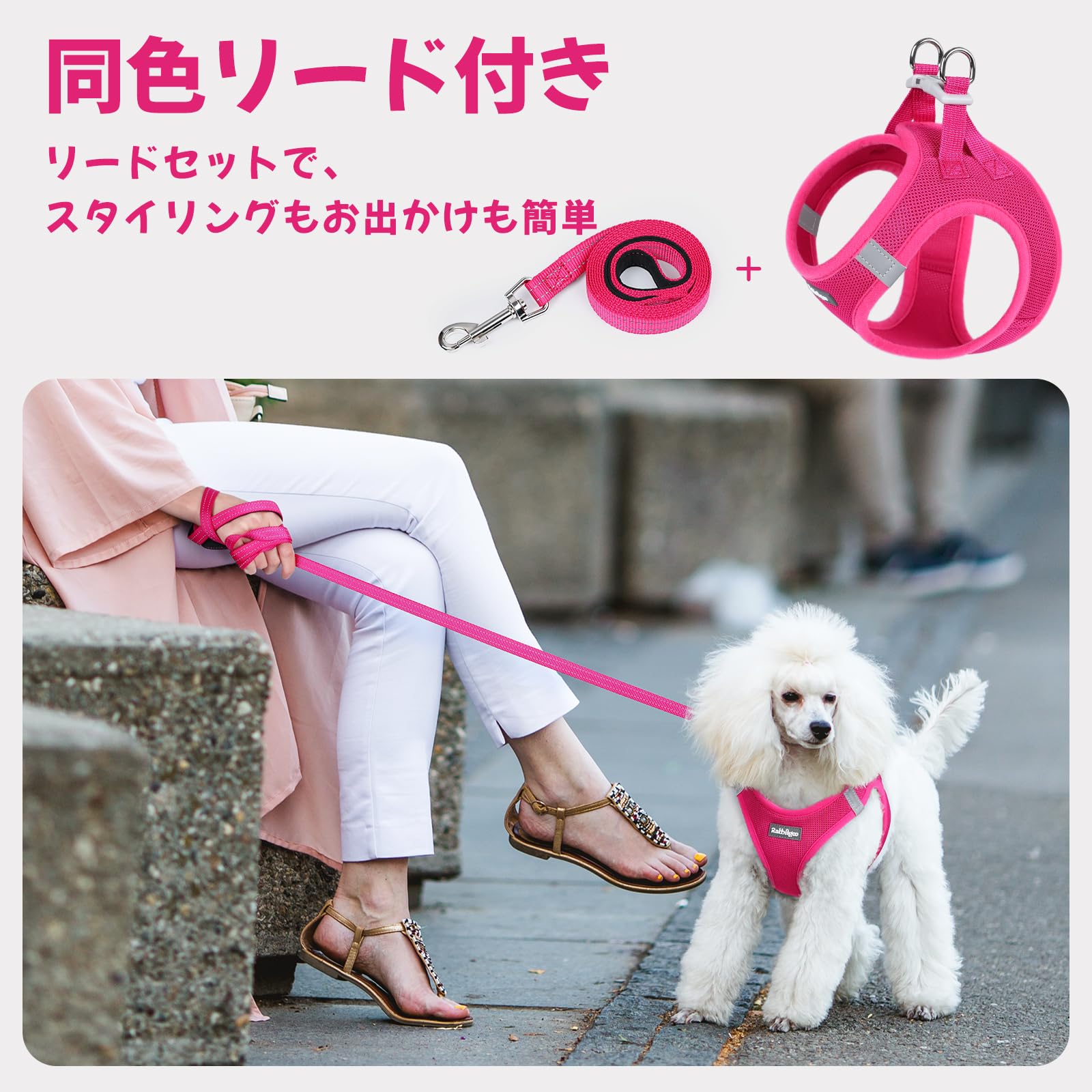 Amazon | Rabbitgoo 犬ハーネス リードセット 超小型犬 小型犬 犬用 胴