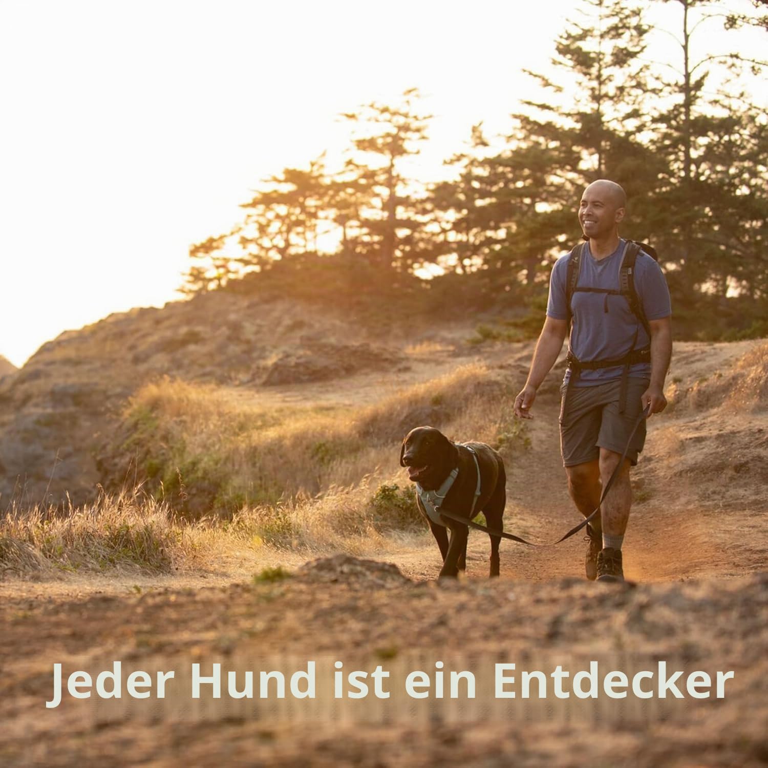 Ruffwear Front Range Hundegeschirr, reflektierendes Y-Geschirr, verstellbares, bequem gepolstertes Alltagsgeschirr für Spaziergänge und Hunderennen, 2 Leinenbefestigunge, Coastal Mountains XS
