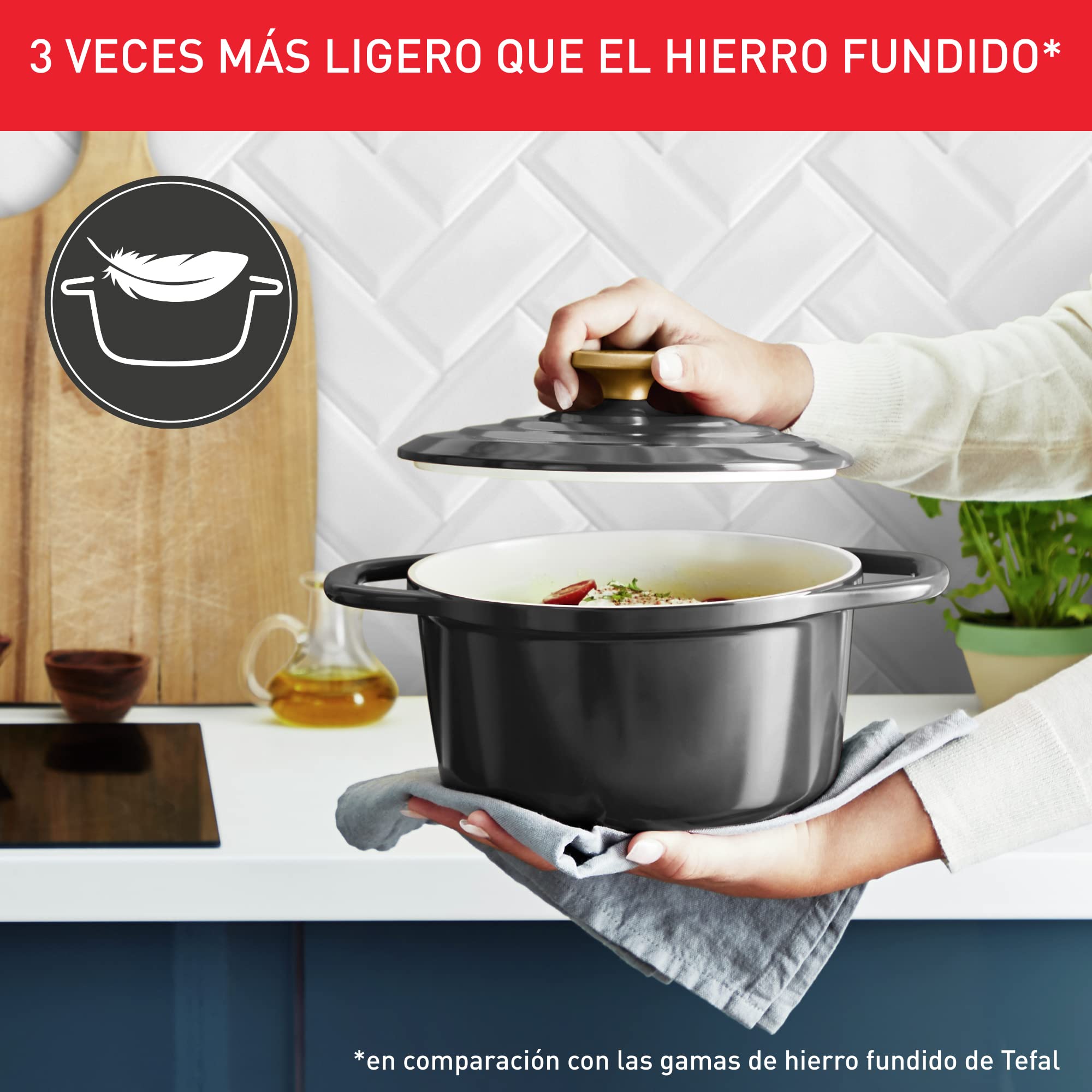 Tefal Cocotte Air 24 cm - cazuela de aluminio fundido de 4,7 L de capacidad, revestimiento cerámica, resultados tiernos, apto para horno y cocinas convencionales, incluso inducción, apto lavavajillas
