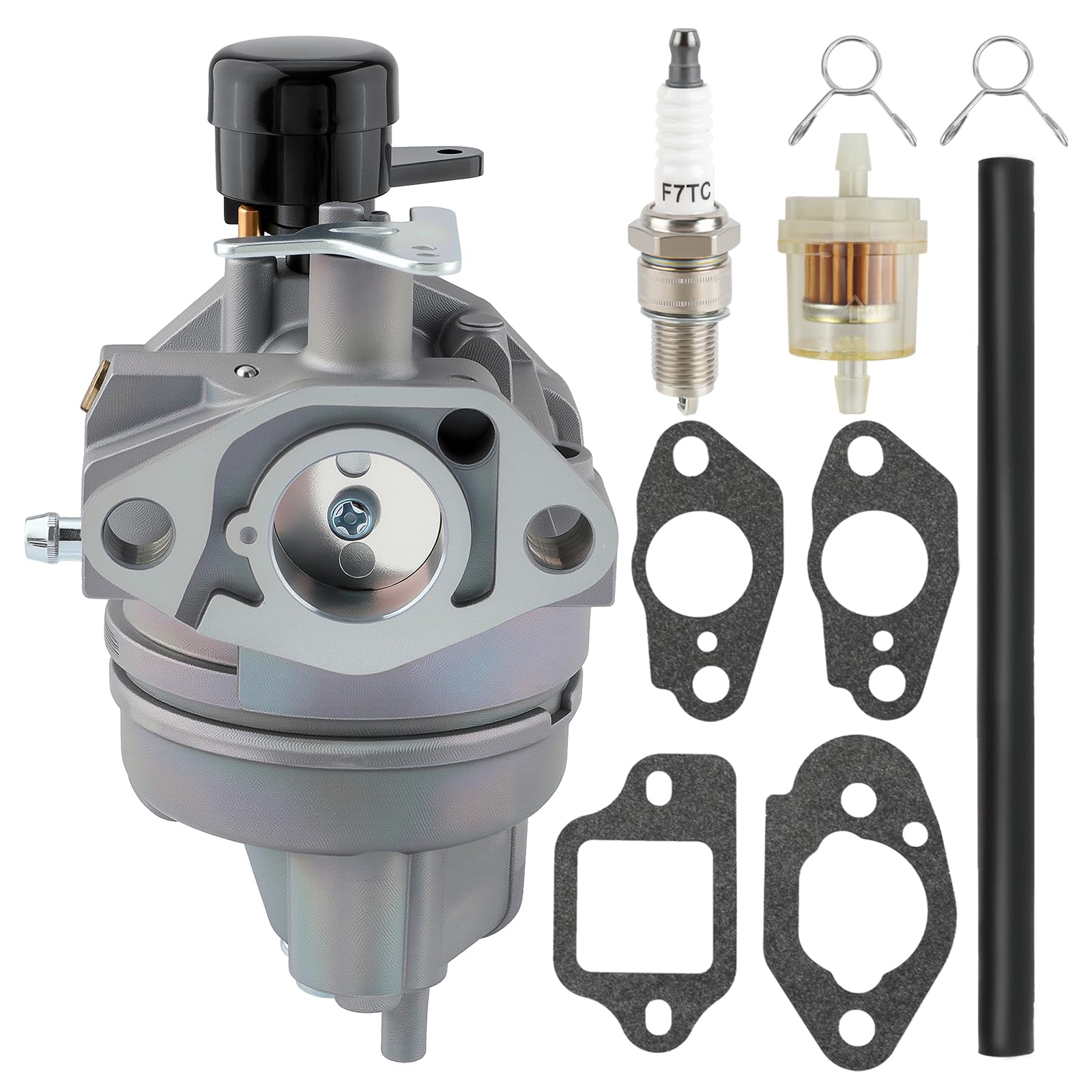 Amazon.com: AUTOKAY 16100-Z0J-H03 Carburetor Assembly with Gaskets