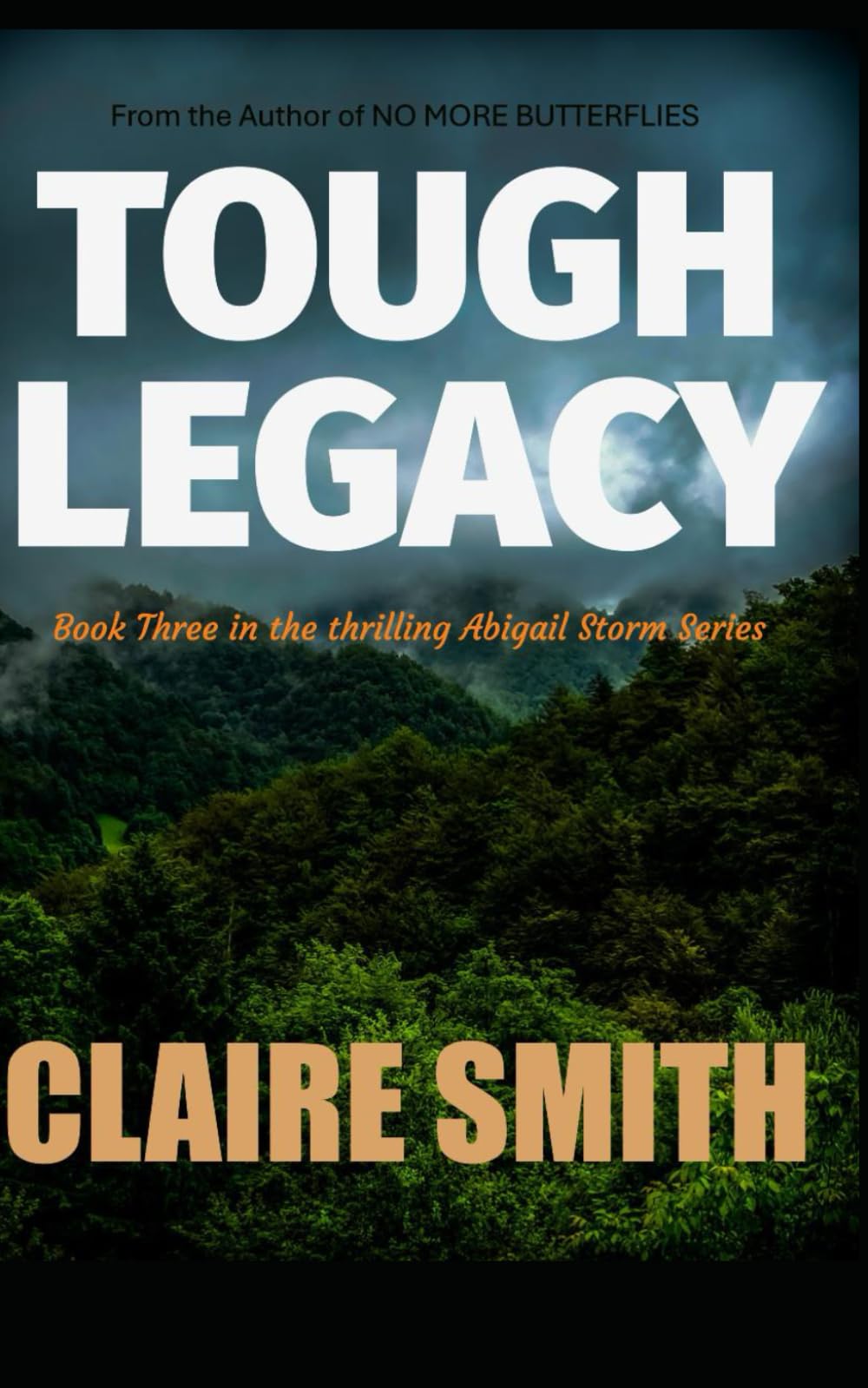 Tough Legacy: (Storm Series Book 3)