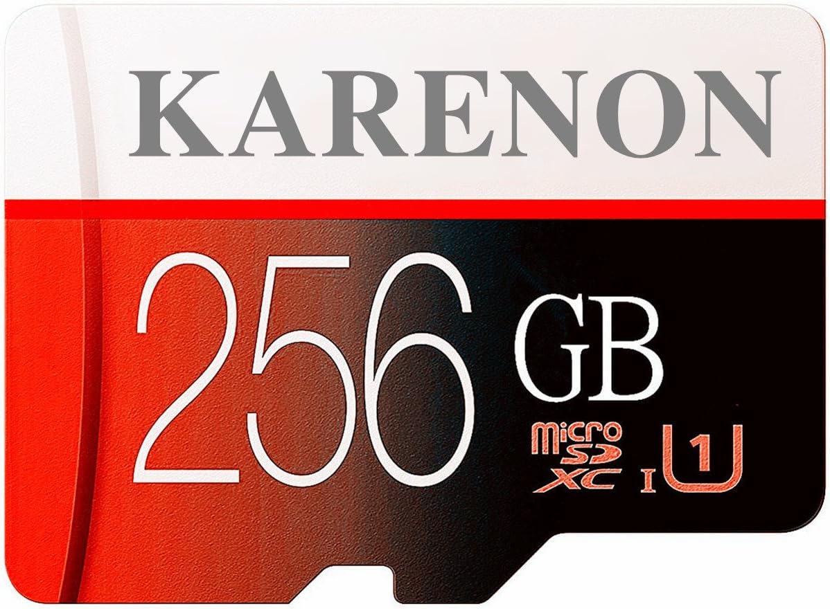 256GB Micro SD SDXC Memory Card High Speed Class 10 with Micro SD Adapter(D49-KR256)