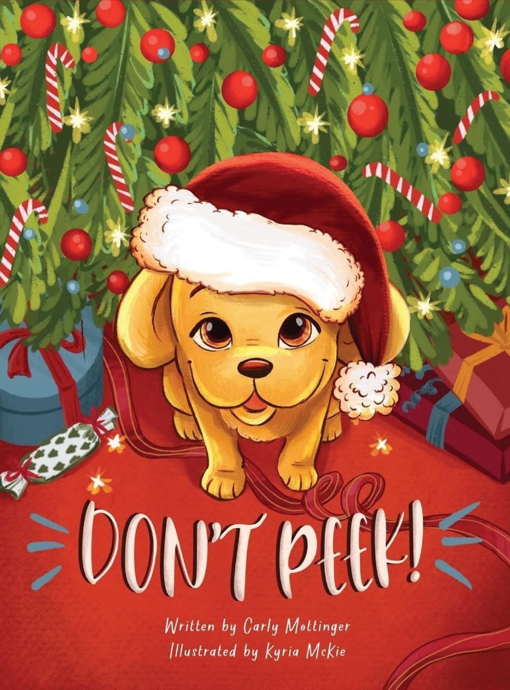 Don't Peek!: 1 (Peek the Puppy)
