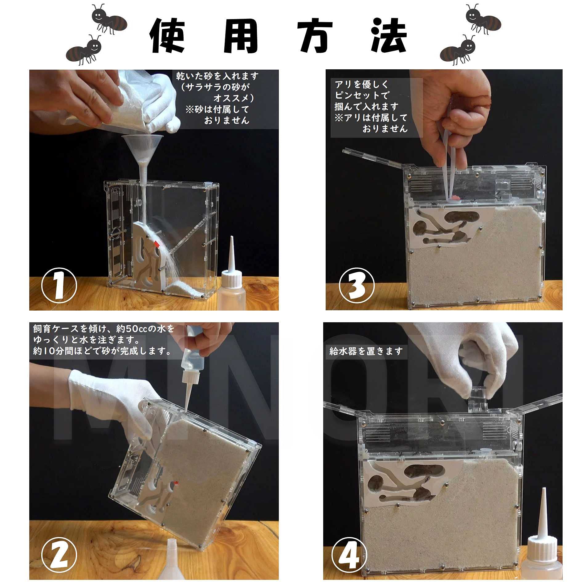 アリの巣　観察セット×4 楽天市場】《2000円クーポン配布中》アリの巣立体観察セット