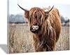 Nicjoy Cute Cow Canvas Posters Animal Canvas Painting Yak Animal Pictures for Living Room Home Decoracion 12X16inch30x40cm,No Frame