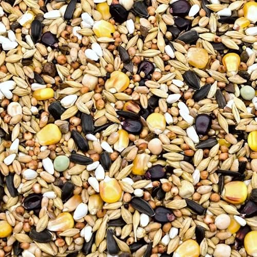 Comida para palomas otoño e invierno, 25 kg, mezcla de granos equilibrados para descanso y acondicionamiento