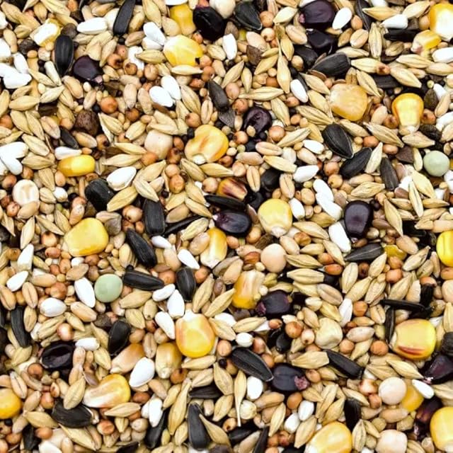 Comida para palomas otoño e invierno, 25 kg, mezcla de granos equilibrados para descanso y acondicionamiento