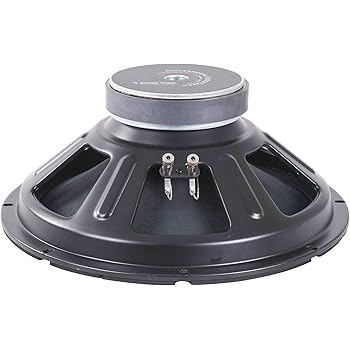 300 watt dj speakers