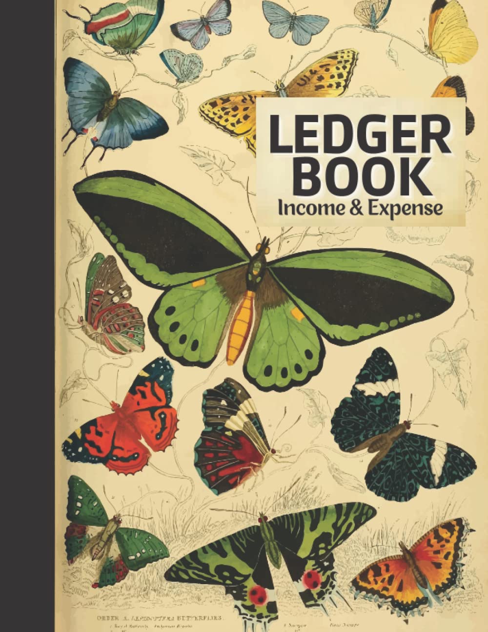 Ledger Book: Income and Expense Log Book, Financial Accounting Log Notebook and Tracker to Record Income and Expenses For Small Business and Personal ... Tax, Bill, Cash and Money Budgeting