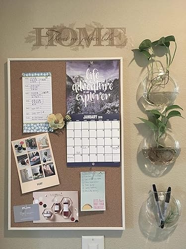 Miniatura 2 de Mkono Maceta de cristal para colgar en la pared, jarrón oblato para plantas hidropónicas, baño, decoración de sala de estar, oficina en casa, juego