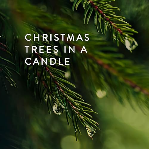 Miniatura 2 de Thymes - Frasier Fir - Vela vertida de edición limitada, pequeña - 5 onzas