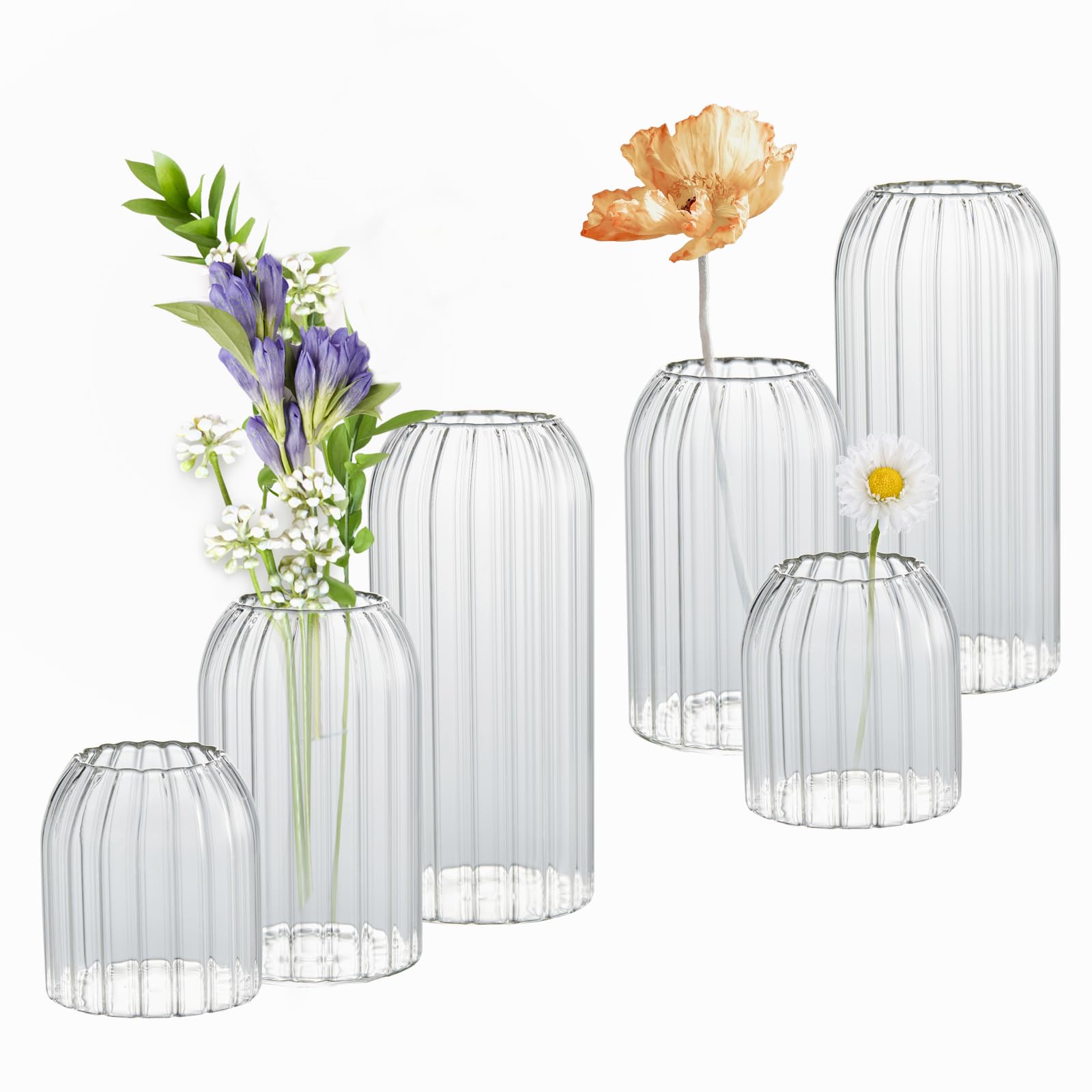 Lot de 6 vases à bourgeons en vrac