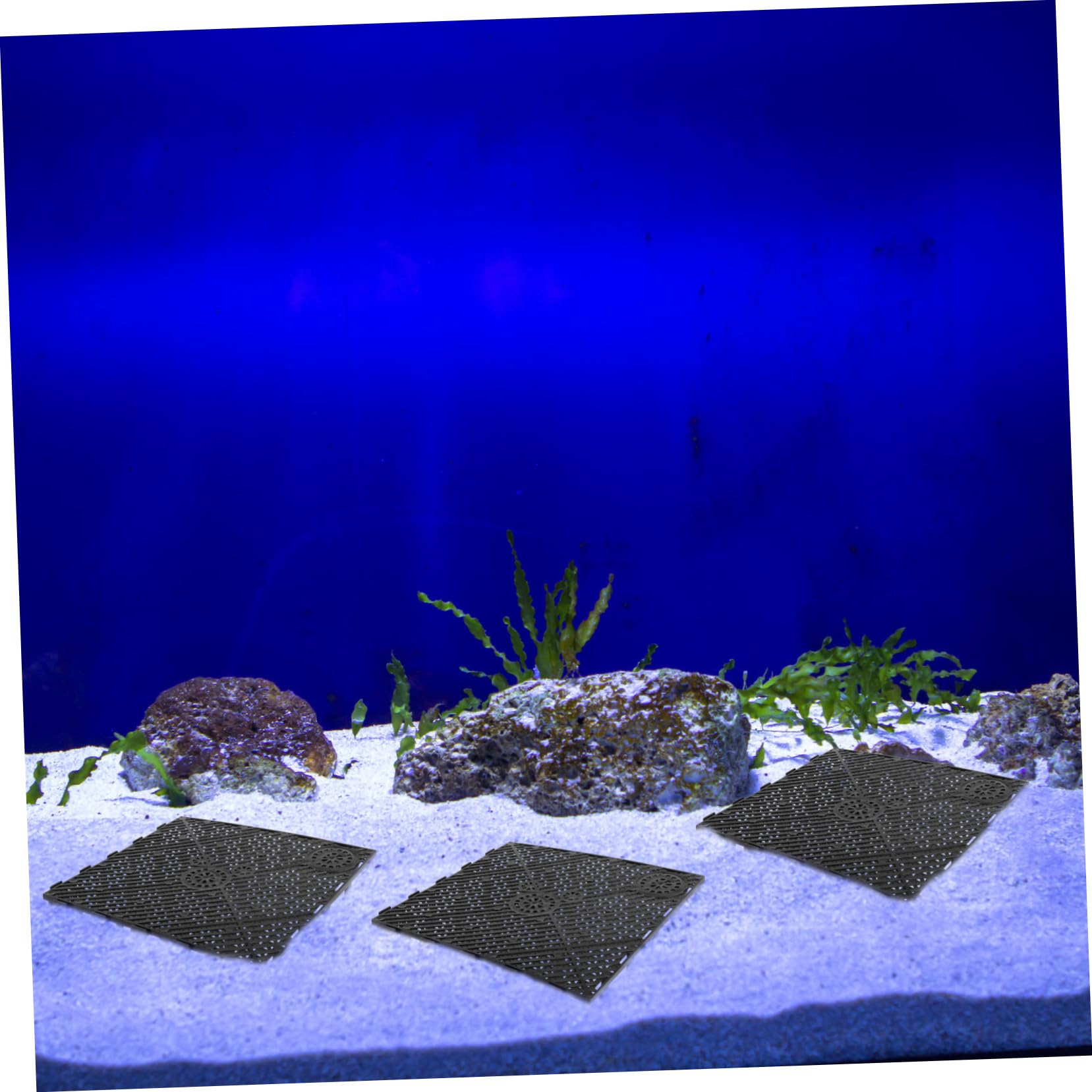 BESPORTBLE Grille De Fond Aquariophilie 60 Pièces Plaque Filtrante pour Aquarium Panneau Filtrant De Gravier Sable Pisciculture Gravier Noir pour Aquarium D' Bardeau Appartement