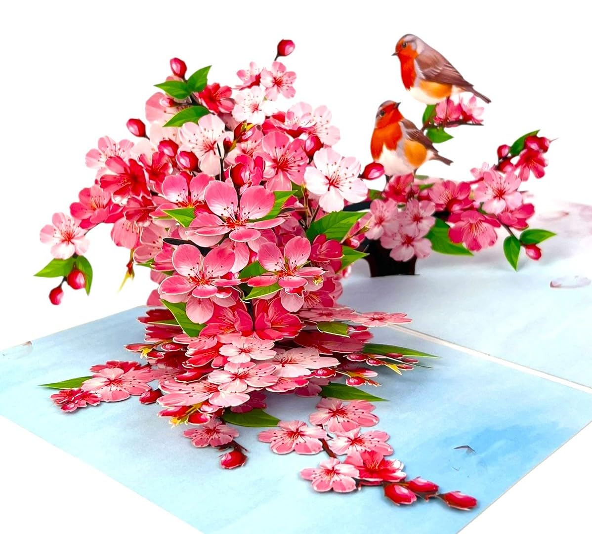 BC Worldwide Ltd handmade 3D pop up card Robin Cherry Blossom Birthday Wedding anniversary Valentines day Mother's day House Warming Think about you Blank