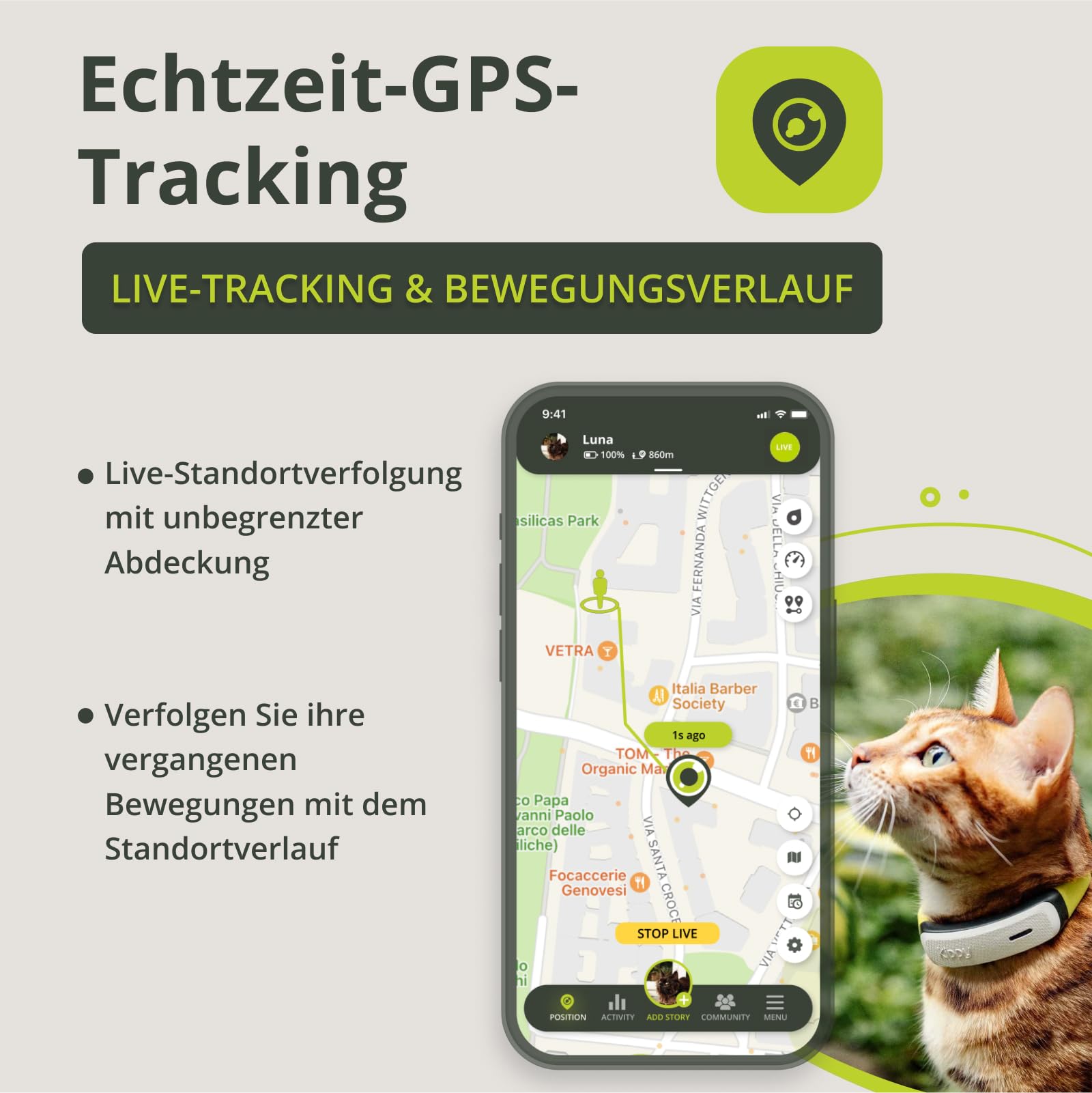 Kippy GPS-Halsband für Katzen, Kippy Cat Color, GPS-Tracker für Gesundheit und Aktivität, Katzenhalsband mit Sofortwarnung, mit virtuellen Grenzen
