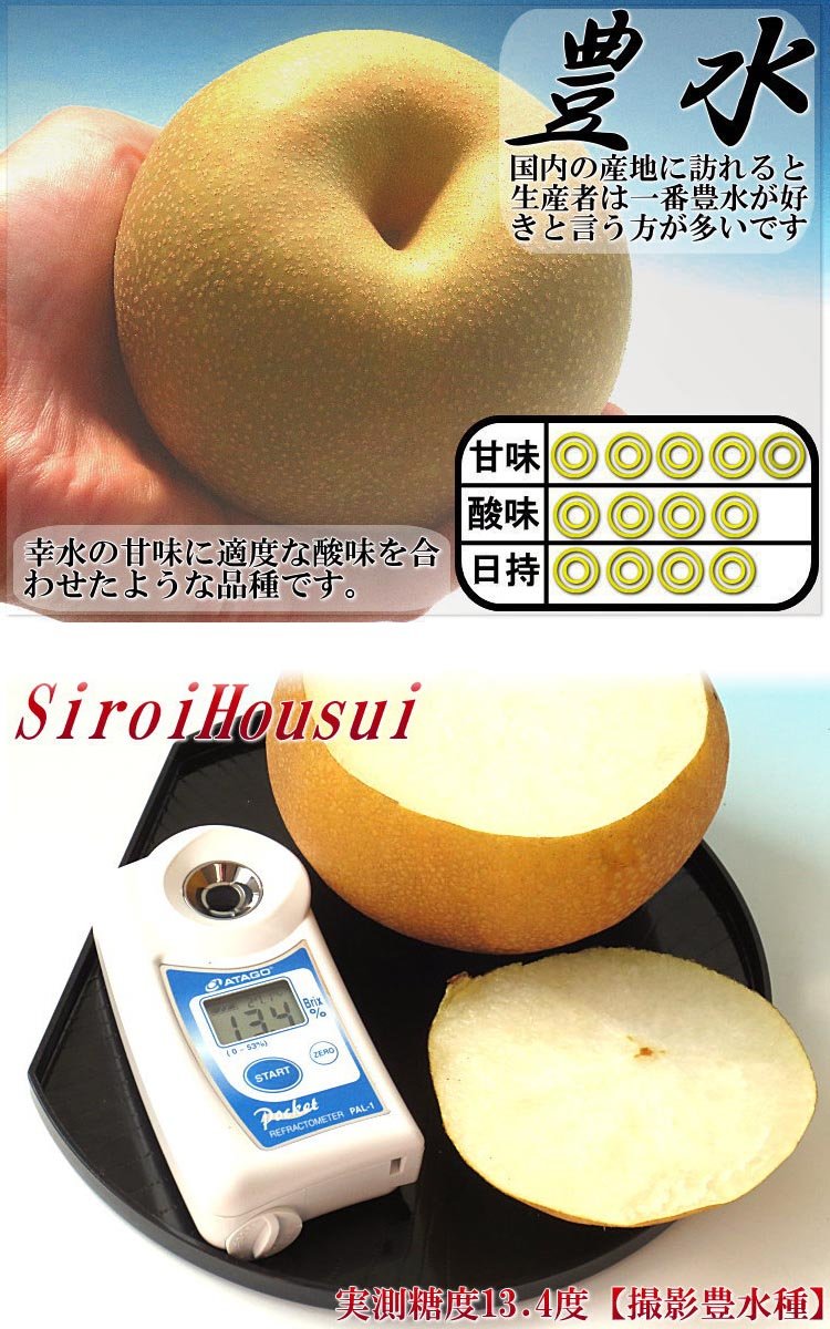 Amazon.co.jp: 千葉梨 梨 約5kg 豊水 秀品～優品 贈答規格 出荷量全国