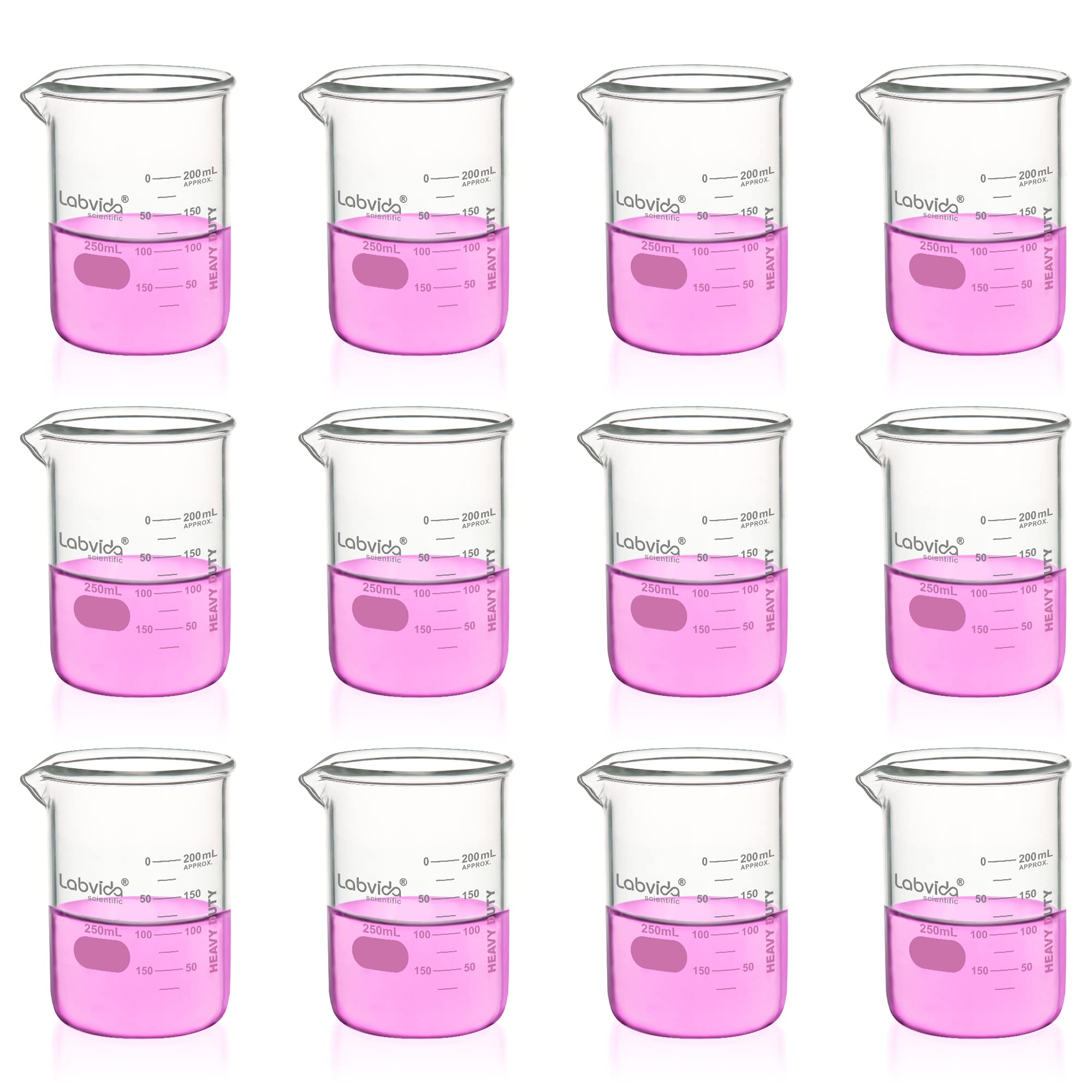 Labvida Heavy Duty Glass Beakers Set 12 pcs