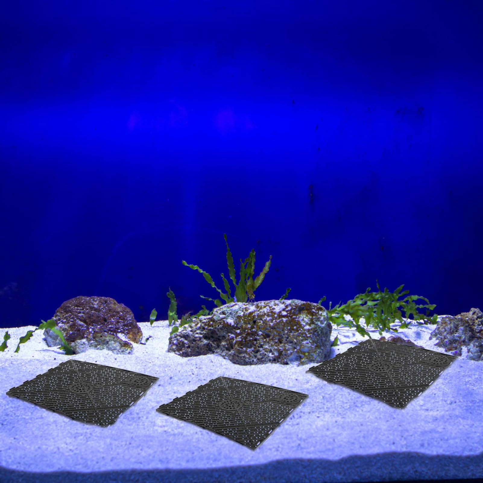 BESPORTBLE 20 Pezzi Piastra Filtrante in PVC per Fondo Acquario Dispositivo di Filtraggio per Fondo Acquario Vassoio Filtrante Giunzione e Filtrazione Installazione Semplice Flusso d Acqua