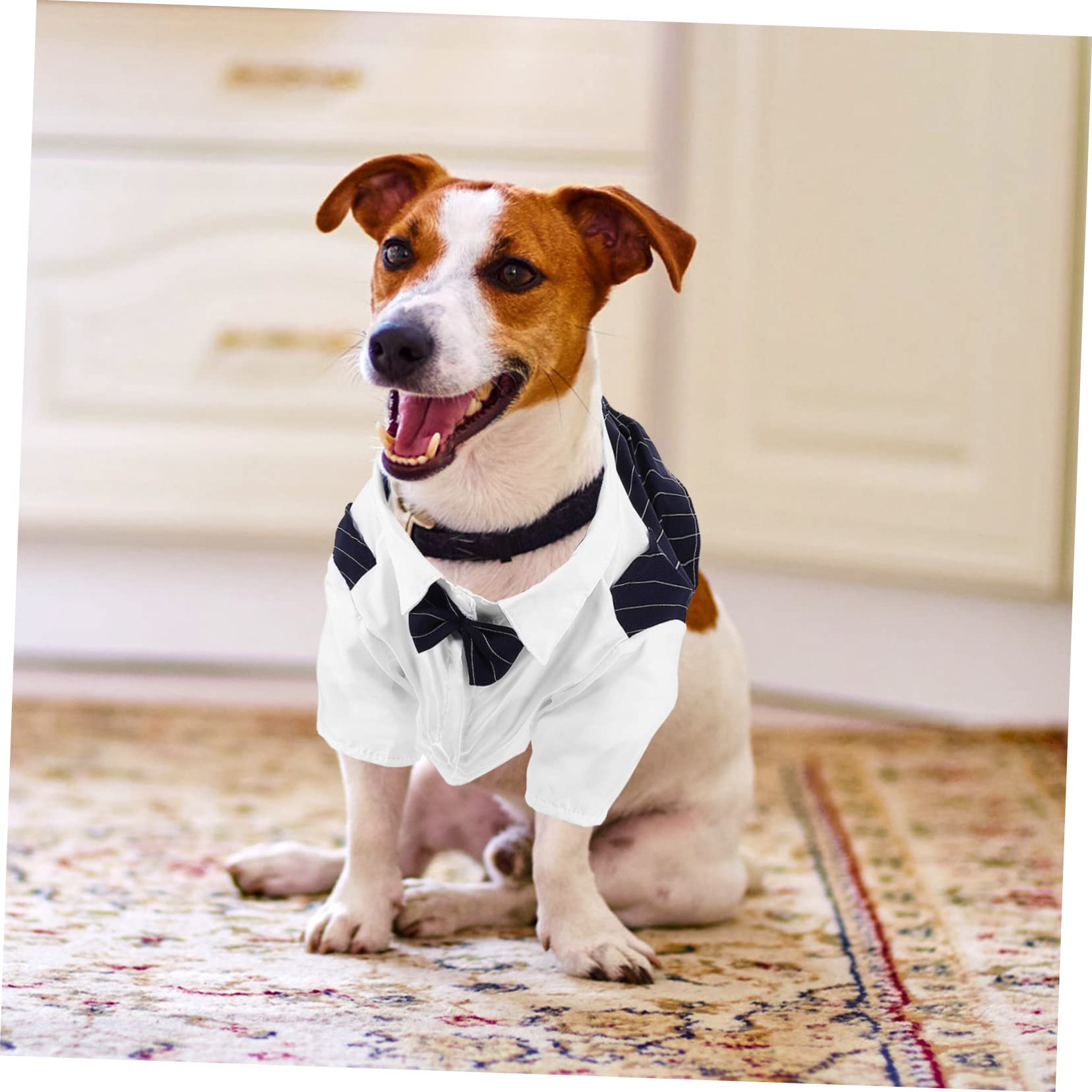 SUPVOX 5 Pz tuta da compagnia camicia elegante per animali domestici camicia per abbigliamento cane vestitino cane vestiario collare da cucciolo maglietta per cani vestiti per cani maschi