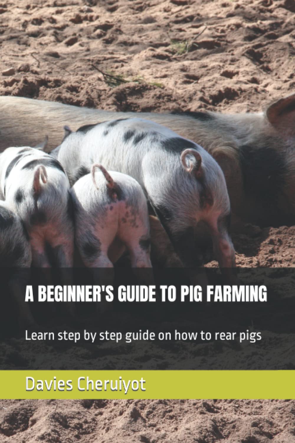 A BEGINNER'S GUIDE TO PIG FARMING: Learn step by step guide on how to rear pigs
