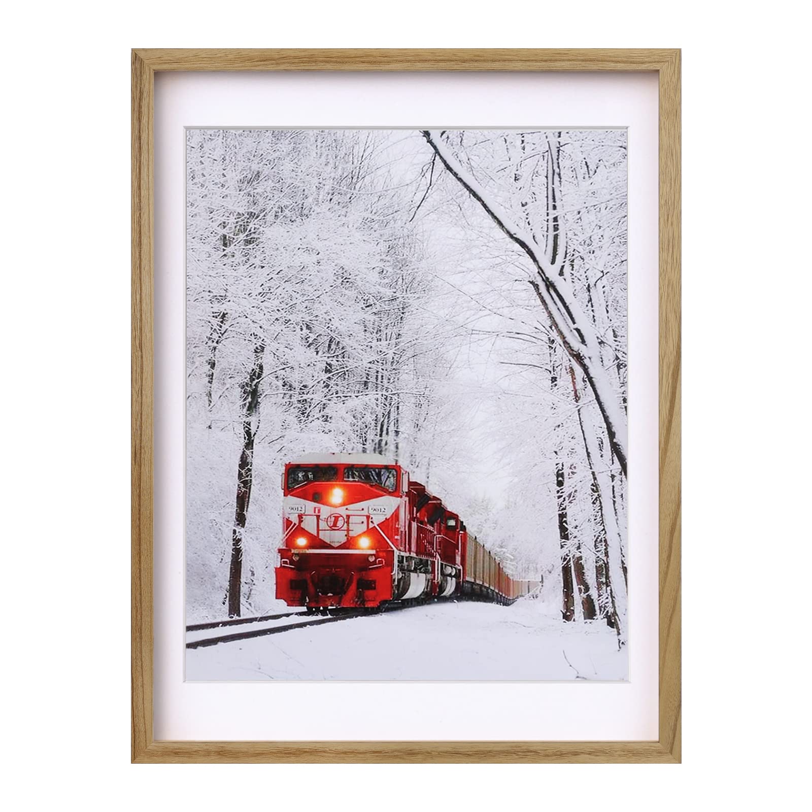 Egofine 18x24 Poster Frame Solid Wood Frame with Plexiglass Matted for 16x20 for Wall Mounting Hanging Picture Frame Vertically or Horizontally, Carbonization