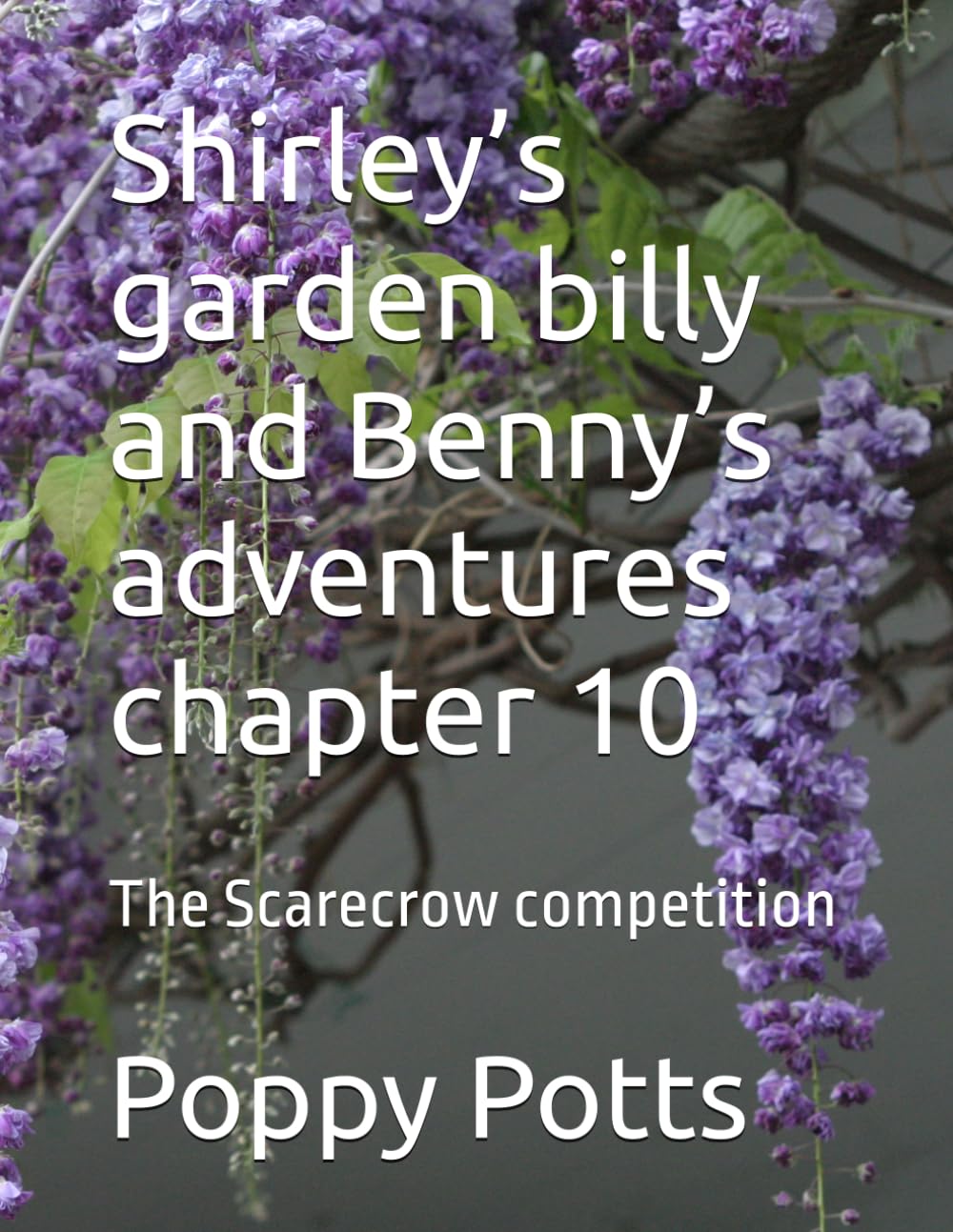 Shirley’s garden billy and Benny’s adventures chapter 10: The Scarecrow competition (Shirley’s garden billy and Benny’s adventures , by poppy Potts)