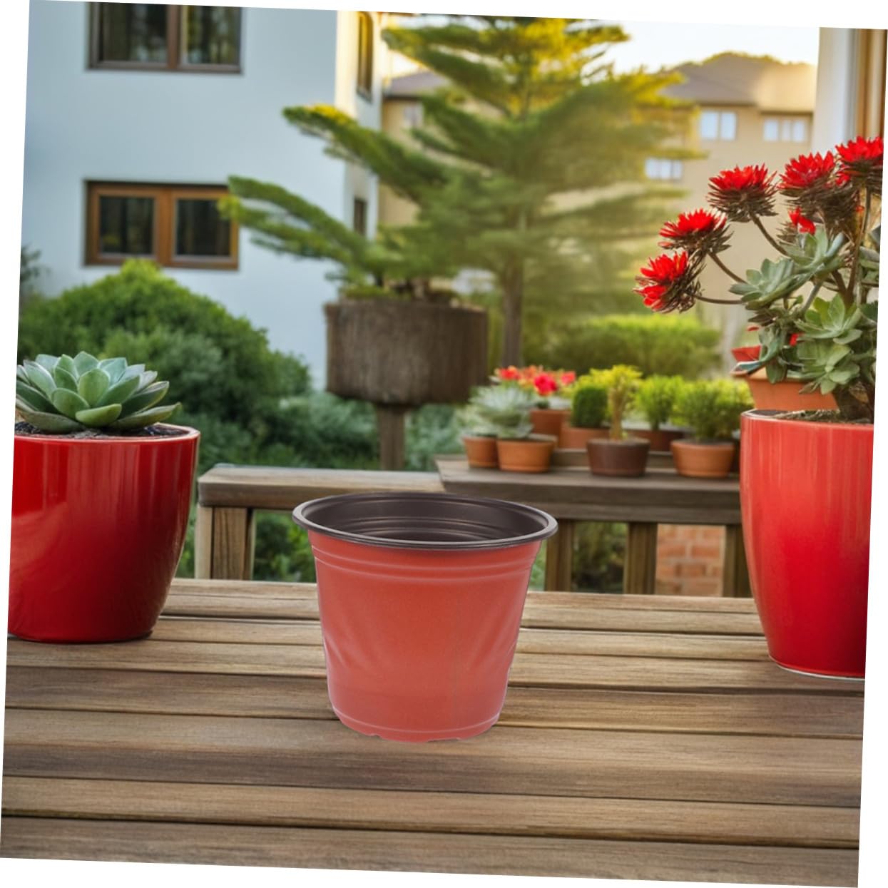Abaodam 60 Pièces Lot de Mini Pots à Bicolores Plastique Petits Pots Ronds pour Semis Culture Intérieure Orchidées Cactus et Légumes pour et Balcon